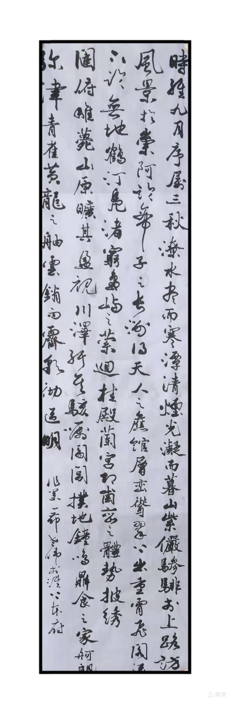 唐建伟
